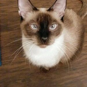 Meet your Posher, Salynda